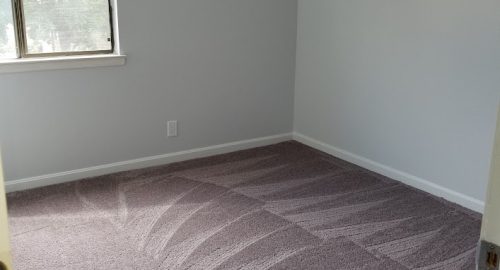 Carpet & Floor