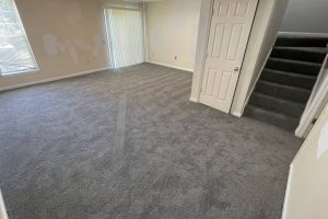 Carpet & Floor