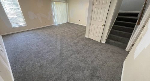 Carpet & Floor