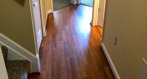Carpet & Floor