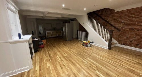 Carpet & Floor