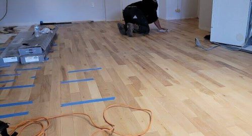 Carpet & Floor